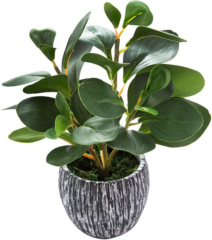 AlphaAcc Artificial Plants Decor Greenery Fake Succulents Indoor Potted Fake Plant with Rustic Black Clay Planter for Farmhouse Room Bathroom Bedroom Kitchen Office Table Desk Decor