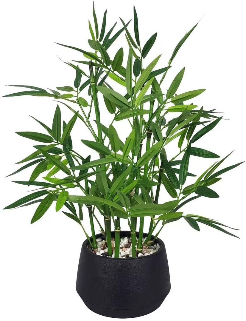 365 Blooming Decor 18 Inch Tall White Potted Faux Bamboo Plant - Luxury Artificial Bamboo in White Pot for Home, Office, Kitchen, Counter Top, Indoor Decor, Money Tree, Lucky Tree
