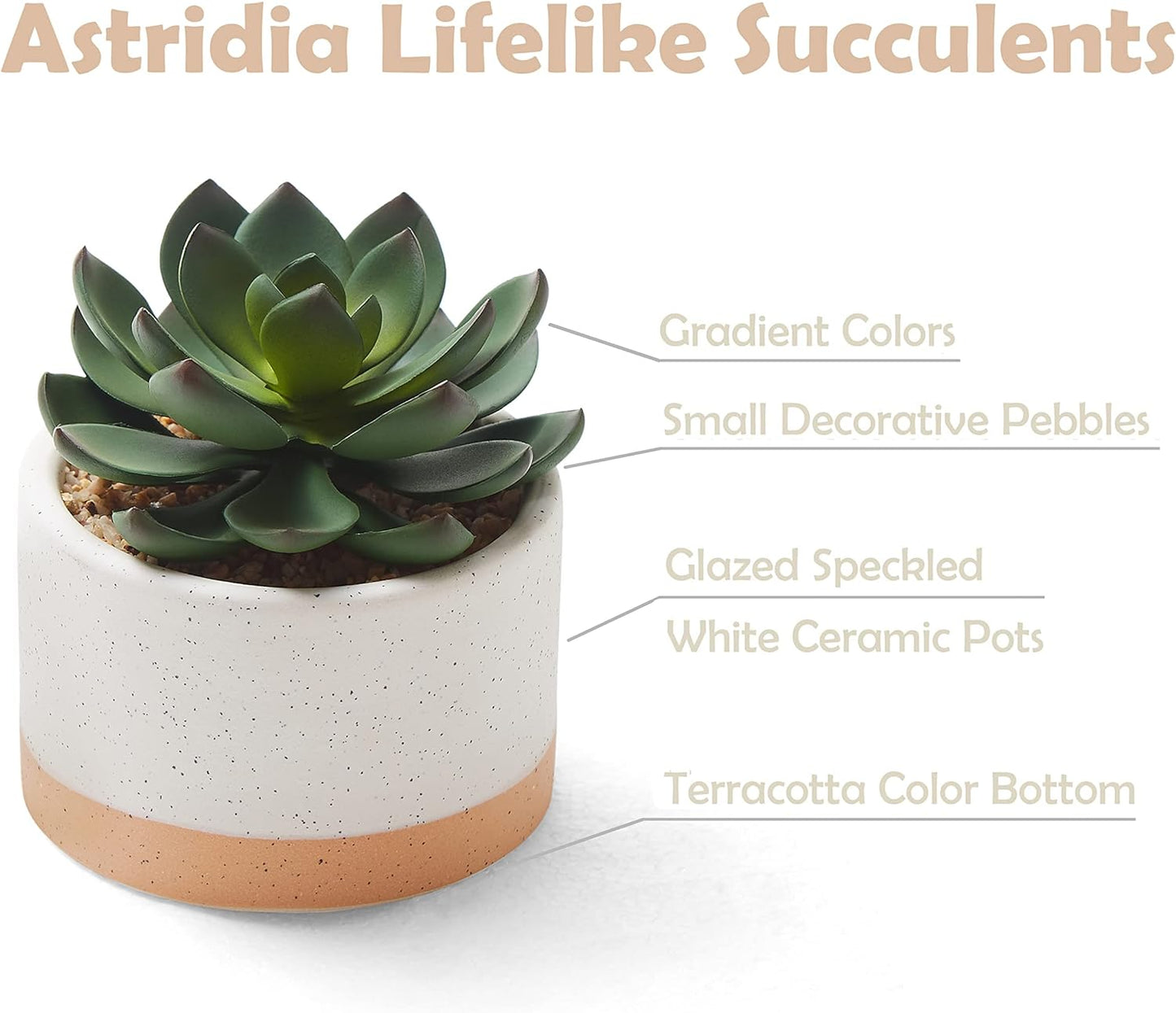Artificial Succulent Plants in Ceramic Pots, Faux Assorted Succulents Fake Cactus Plants for Home Decor, Bedroom, Office, Desk, Living Room, Set of 3…