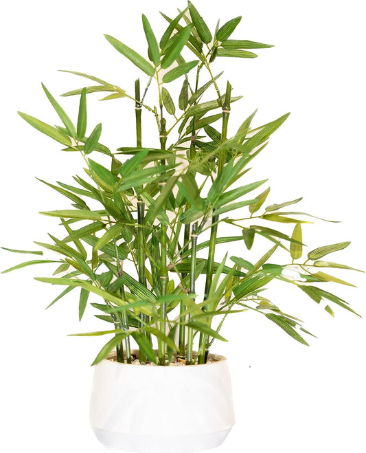 365 Blooming Decor 18 Inch Tall White Potted Faux Bamboo Plant - Luxury Artificial Bamboo in White Pot for Home, Office, Kitchen, Counter Top, Indoor Decor, Money Tree, Lucky Tree