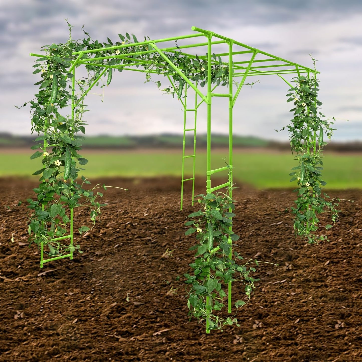 Large Grape Vine Trellis, Large Outdoor Garden Arch Trellis, Outdoor Plant Stand, Plant Climbing Display Rack for Courtyard and Garden Decoration (Green, 9.84*6.56*7.54ft/118.11*78.74*90.55inch)